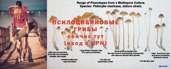 MDMA Premium VHQ Алексеевка